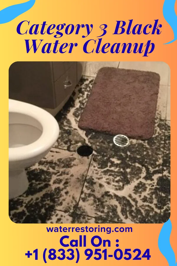 Category 3 Black Water Cleanup in Fairchild AFB, WA