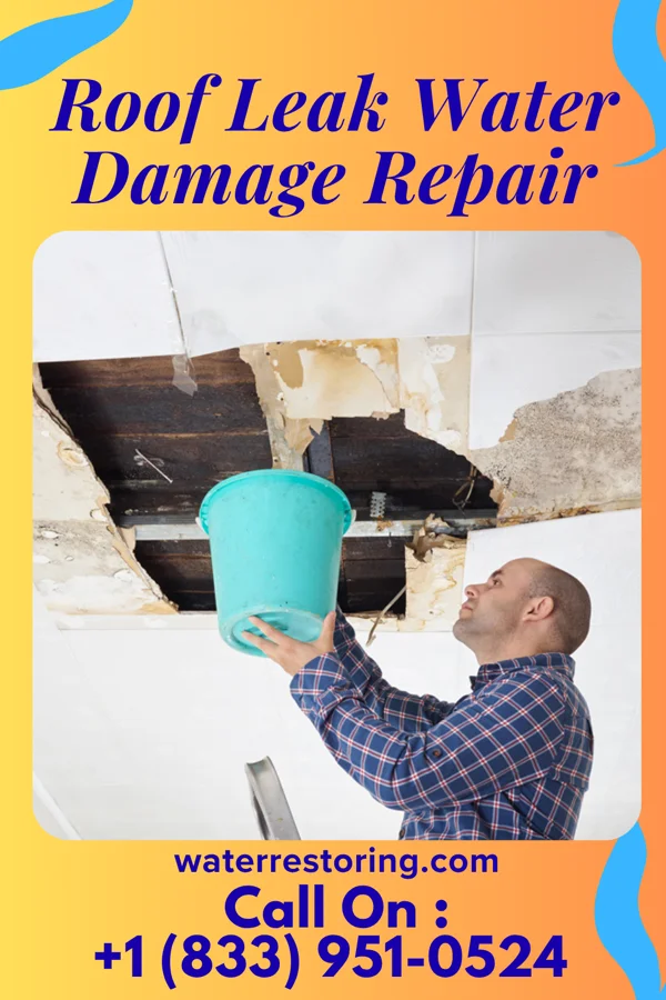 Roof Leak Water Damage Repair in Fairchild AFB, WA